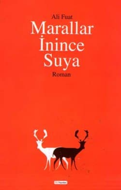 Marallar İnince Suya