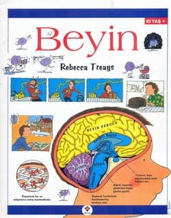 Beyin