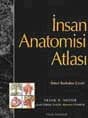 İnsan Anatomisi Atlası