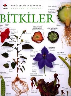 Bitkiler