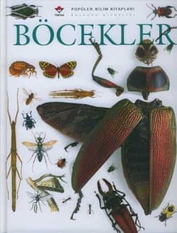 Böcekler