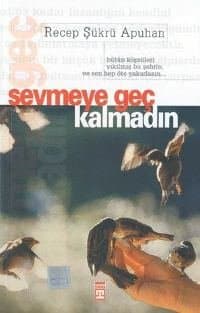 Sevmeye Geç Kalmadın