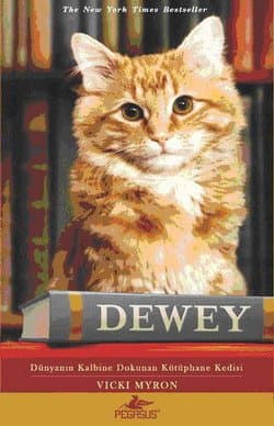 Dewey: Dünyanın Kalbine Dokunan Kütüphane Kedisi