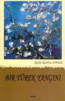 Bir Yürek Yangını
