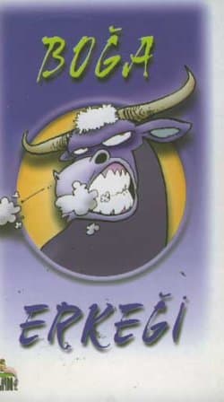 Boğa Erkeği