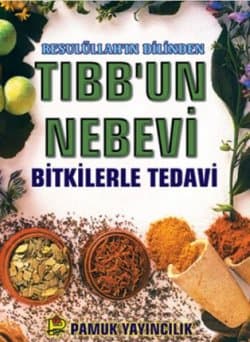Tıbbun Nebevi