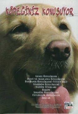 Köpeğiniz Konuşuyor