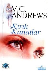 Kırık Kanatlar (Kırık Kanatlar Serisi, #1)