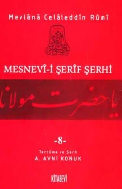 Mesnevi-i Şerif Şerhi 8