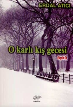 O Karlı Kış Gecesi