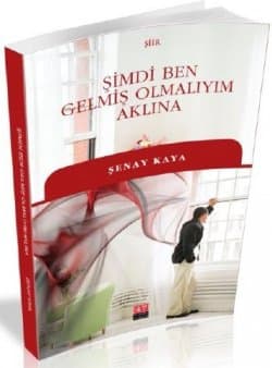 Şimdi Ben Gelmiş Olmalıyım Aklına
