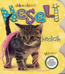 Dokun ve Hisset - Neşeli Kedicik