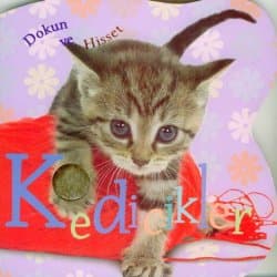 Dokun ve Hisset -Kedicikler-