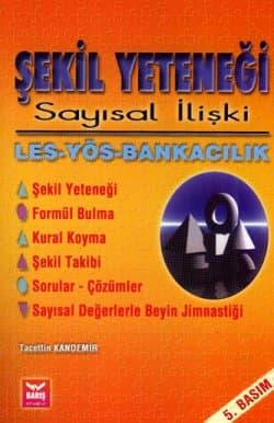 Şekil Yeteneği Sayısal İlişki