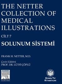 The Netter Collection Of Medical Illustrations Solunum Sistemi