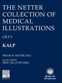 The Netter Collection Of Medical Illustrations Kalp