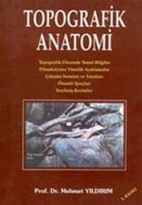 Topografik Anatomi