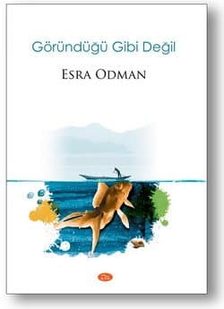 Göründüğü Gibi Değil