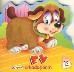 Ev Arkadaşlarım