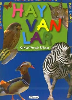 Hayvanlar-4