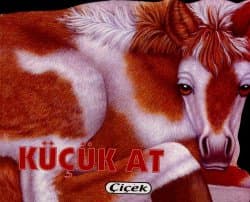 Küçük At