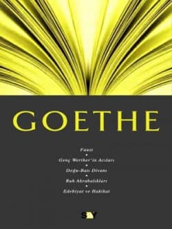 Goethe - Fikir Mimarları 5