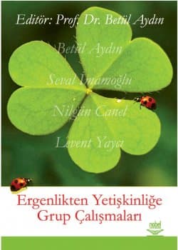 Ergenlikten Yetişkinliğe Grup Çalışmaları