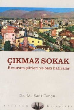 Çıkmaz Sokak Erzurum Şiirleri ve Bazı Hatıralar