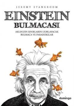 Einstein Bulmacası