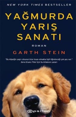 Yağmurda Yarış Sanatı