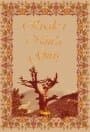 Risale-i Nur`a Giriş