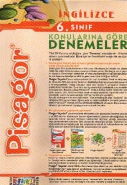 6. Sınıf İngilizce Konularına Göre Denemeler