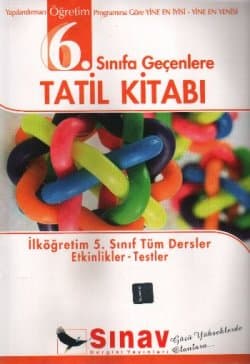 6. Sınıfa Geçenlere Tatil Kitabı