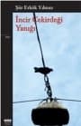 İncir Çekirdeği Yanığı