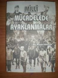 Milli Mücadelede Ayaklanmalar