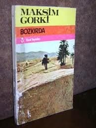 Bozkırda
