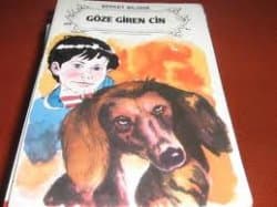 Göze Giren Cin