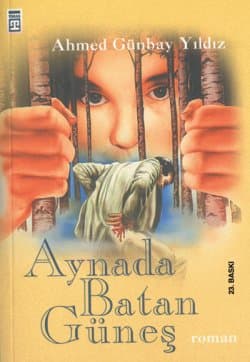 Aynada Batan Güneş