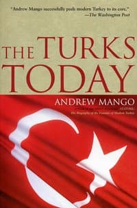 The Turks Today