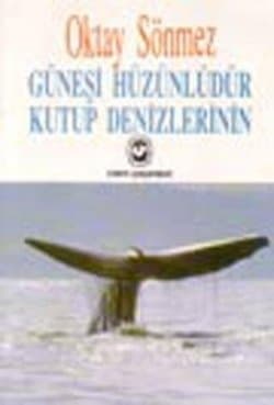 Güneşi Hüzünlüdür Kutup Denizlerinin