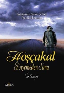Hoşçakal Diyemeden Sana