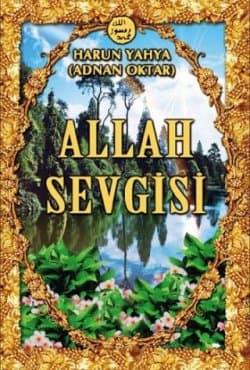 Allah Sevgisi