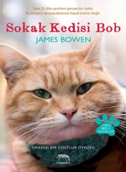 Sokak Kedisi Bob - 1
