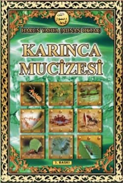 Karınca Mucizesi