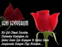 Bu kalp sönmez