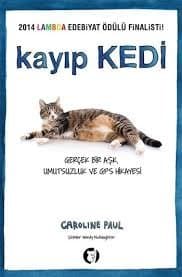 Kayıp Kedi