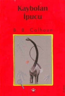 Kaybolan İpucu
