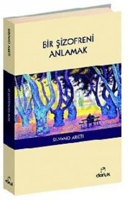 Bir Şizofreni Anlamak
