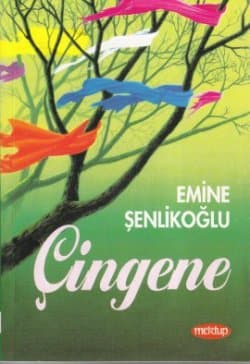 Çingene