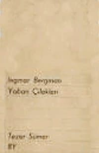 Yaban Çilekleri